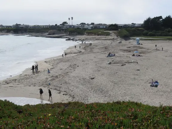 Beautiful beach with dunes and a bird rock.