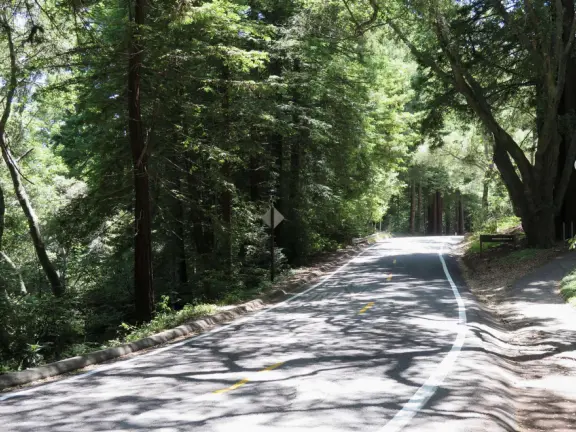 <a href="/Santa_Cruz/San_Jose/Natural_Bridges_State_Beach_Santa_Cruz.html" target="_blank" rel="noopener"></a>UCSC has a pleasant campus set in a redwood forest, with sunny clearings with picnic tables, a quarry amphitheater, a field with views of the oce