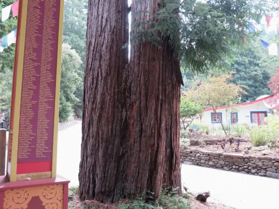 The public can come and walk the trail, turn the three prayer wheels, see the red temple and meditation hall, ring the chimes and gongs, and admire the sculptures.