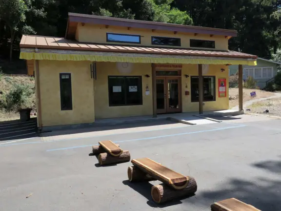 Log benches. 