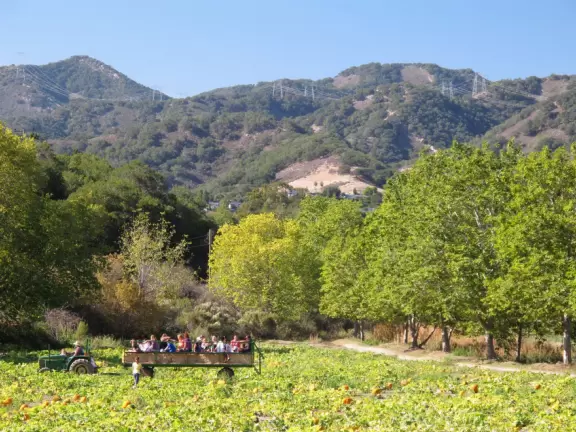 Colorful farm with a fruit/veg store, ice cream, petting zoo, and seasonally: hay rides, hay maze, toddler hay maze, sunflowers, u-pick fruit, and pumpkin patch.