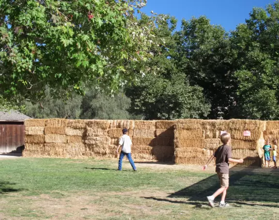 Colorful farm with a fruit/veg store, ice cream, petting zoo, and seasonally: hay rides, hay maze, toddler hay maze, sunflowers, u-pick fruit, and pumpkin patch.
