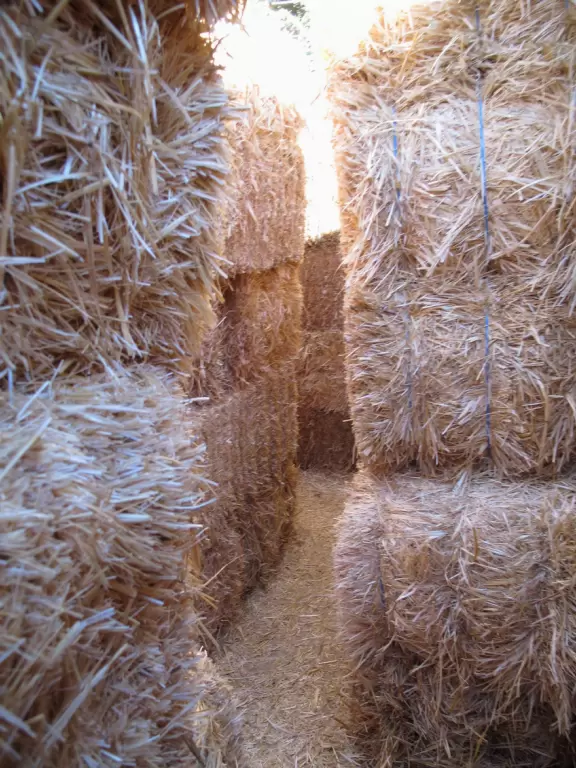 Colorful farm with a fruit/veg store, ice cream, petting zoo, and seasonally: hay rides, hay maze, toddler hay maze, sunflowers, u-pick fruit, and pumpkin patch.