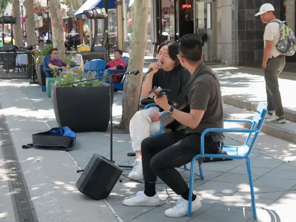 Pedestrian-only area with cafes, flowers baskets, and street musicians.
