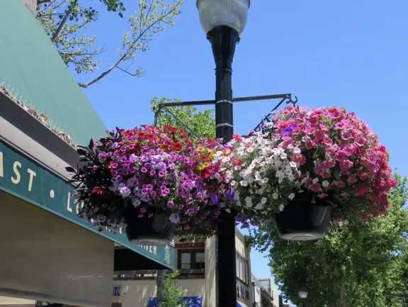 Pedestrian-only area with cafes, flowers baskets, and street musicians.