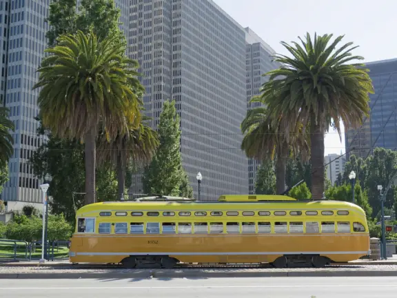 Wide, 3-mile-long walkway on the waterfront with blue lampposts, canary palms, lawns, modern sculptures, and views of the Bay Bridge. Find ferries, restaurants, touristy shops, and museums.