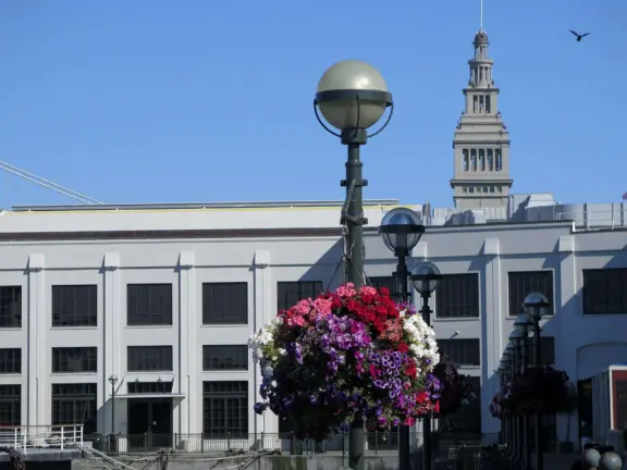 Flowers baskets and Ferry building clocktower. 