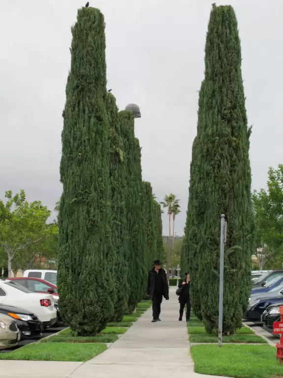 A shopping plaza with sidewalks cafes and shops that would look like Europe if it weren't so new!
