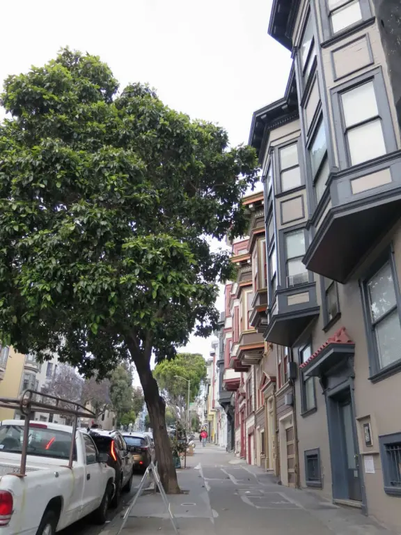 Also known as Little Italy, North Beach is a famous neighborhood of the beat poets, with great Italian sidewalk cafes and jazz bars.