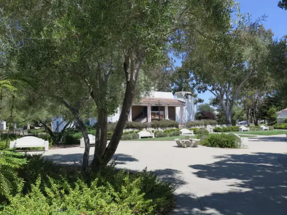 Beautiful campus with white buildings, rainbow eucalyptus trees, and views of the mountains and hills.