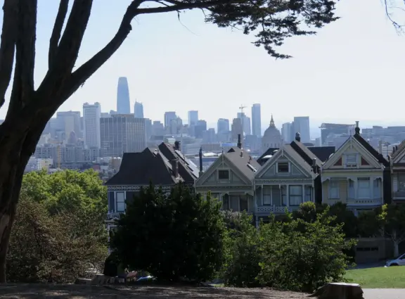 Pretty hilltop park with views of San Francisco's skyline, and the famous Painted Ladies.