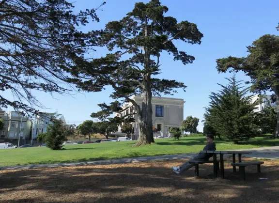 Pretty hilltop park with views of San Francisco's skyline, and the famous Painted Ladies.