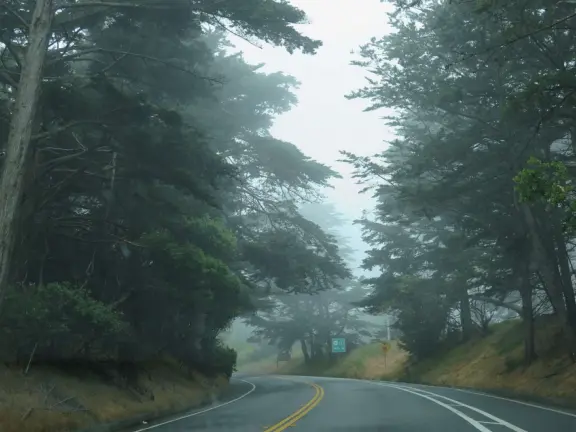 Drive or walk the Golden Gate Bridge, and you'll be awed!