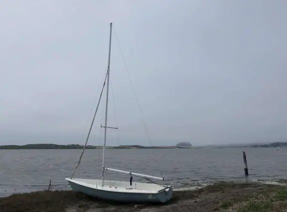 A nature-filled magical area, foggy and cold, and not very walkable (sidewalks are rare), but with some hidden gems.