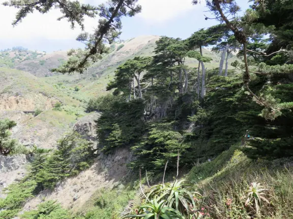 Gorgeous lookout over sheer cliffs. Absolutely stunning! Restaurant, inn, gift shop, coffee shop, and grounds with sculpture, walkway through cypress trees, and flowers.