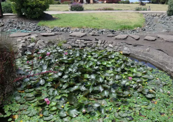 Gorgeous lookout over sheer cliffs. Absolutely stunning! Restaurant, inn, gift shop, coffee shop, and grounds with sculpture, walkway through cypress trees, and flowers.