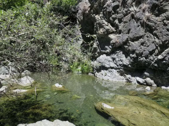 A very short hike in to huge boulders, bright trees, waterfalls, and a clear-water swimming hole. There is a longer hike, if you take the right fork.