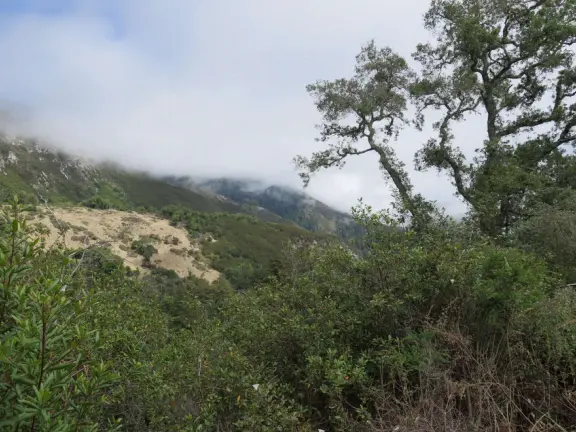 Stunning view from a bench on vertical cliffs above blue-green water.