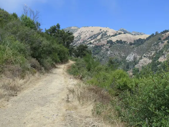 Stunning view from a bench on vertical cliffs above blue-green water.