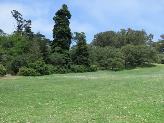 Huge park in the middle of San Francisco, with delightful daisy-filled meadows, playgrounds, lakes, gardens, and museums!