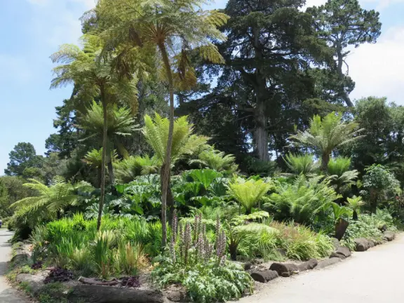 Huge park in the middle of San Francisco, with delightful daisy-filled meadows, playgrounds, lakes, gardens, and museums!