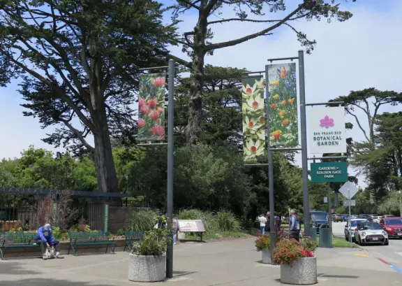 Huge park in the middle of San Francisco, with delightful daisy-filled meadows, playgrounds, lakes, gardens, and museums!