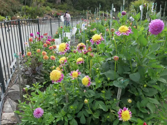 Glass-enclosed garden of unique and interesting tropical plants and flowers that the whole family loves! Gorgeous building on a hill, above formal gardens.