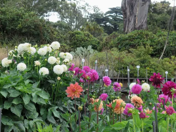 Glass-enclosed garden of unique and interesting tropical plants and flowers that the whole family loves! Gorgeous building on a hill, above formal gardens.