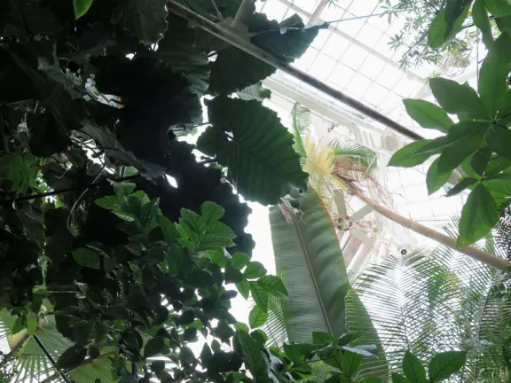 Glass-enclosed garden of unique and interesting tropical plants and flowers that the whole family loves! Gorgeous building on a hill, above formal gardens.