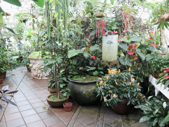 Glass-enclosed garden of unique and interesting tropical plants and flowers that the whole family loves! Gorgeous building on a hill, above formal gardens.