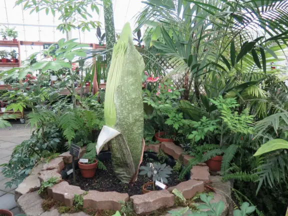 Glass-enclosed garden of unique and interesting tropical plants and flowers that the whole family loves! Gorgeous building on a hill, above formal gardens.