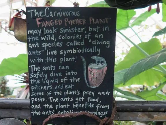Glass-enclosed garden of unique and interesting tropical plants and flowers that the whole family loves! Gorgeous building on a hill, above formal gardens.