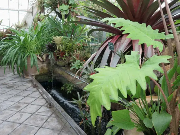 Glass-enclosed garden of unique and interesting tropical plants and flowers that the whole family loves! Gorgeous building on a hill, above formal gardens.