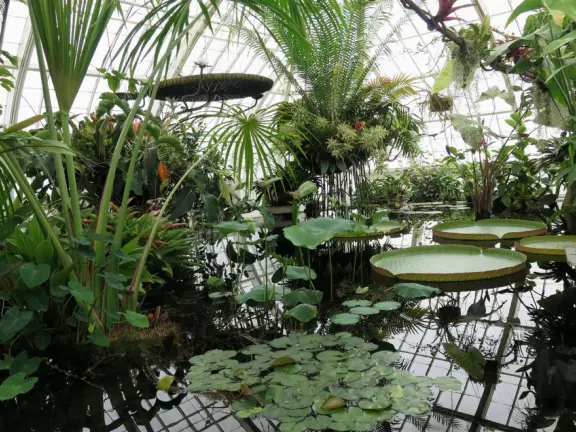 Glass-enclosed garden of unique and interesting tropical plants and flowers that the whole family loves! Gorgeous building on a hill, above formal gardens.