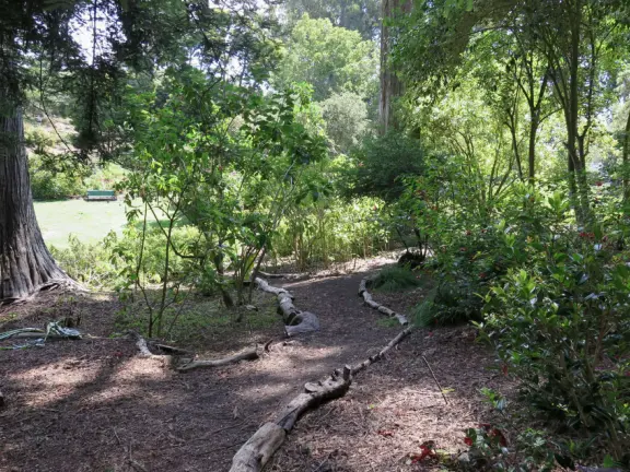 Drive or walk the Golden Gate Bridge, and you'll be awed!