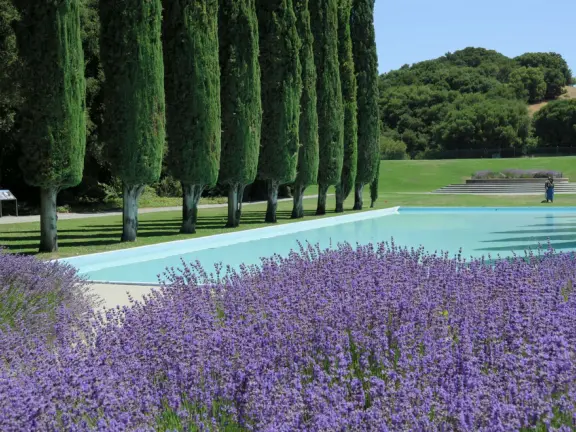 Gorgeous stop along Highway 280: classical temple, lavender beds, pool lined with Italian cypress- built by the water district to showcase their work!