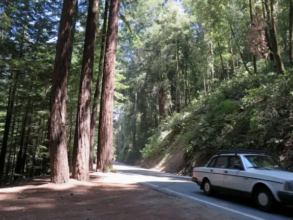 A gorgeous hike through redwoods to a pool in the river, with smooth white rocks to sit on.