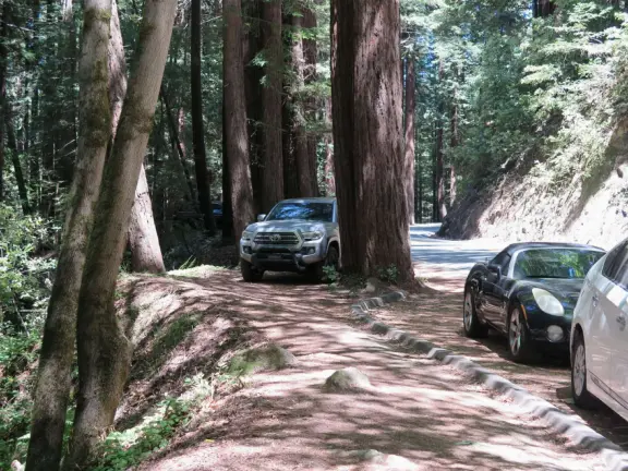 A gorgeous hike through redwoods to a pool in the river, with smooth white rocks to sit on.