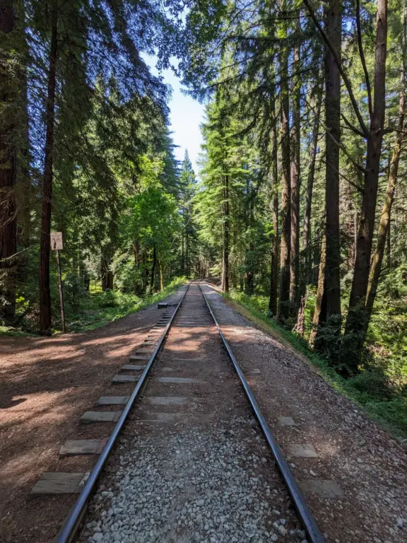 The train tracks. 