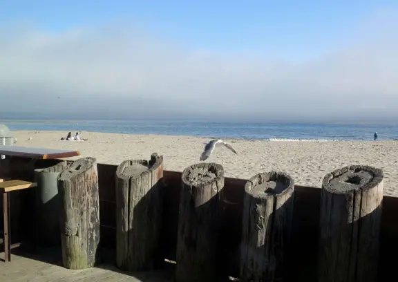 Cheerful, pretty town by the ocean!