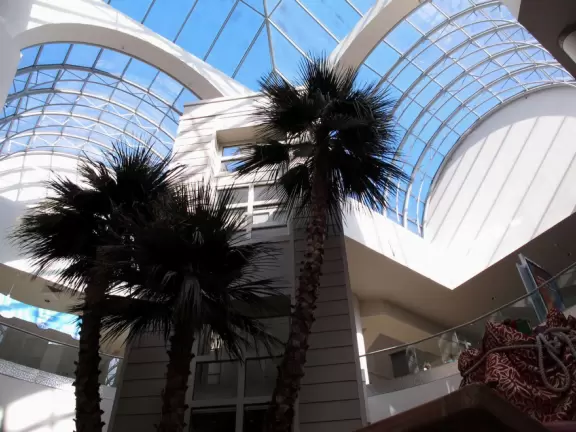 An attractive indoor mall with carousel, candy store, toy store, tropical food court, and play area for kids.