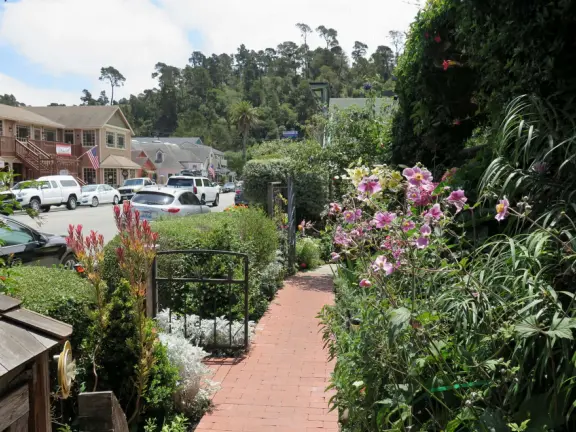 Historic cottages and lush trees of all different shades of green. Come July-October. Check the webcam for weather because it's not nice in thick gloom!