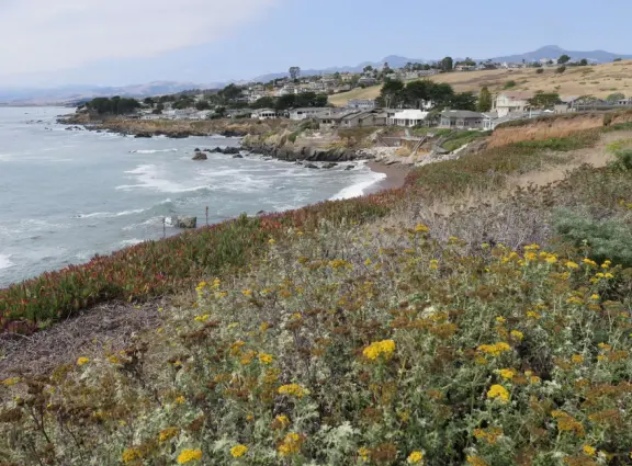 Wooden oceanfront one-mile-long boardwalk lined with scrub and flowers, atop the cliffs. Good views of the coastline. More trails on the hills above.