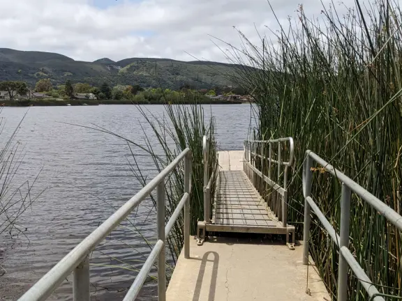Open space with trail through long dry grasses and views of the hills, beside a blue lake with geese, picnic tables, and a playground.