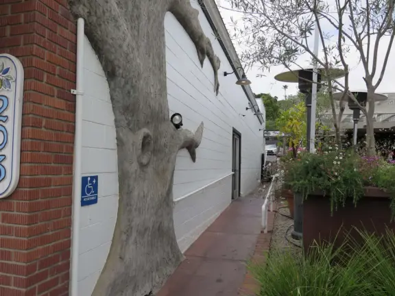 Nice little main street, with cafes, pretty storefronts, park, swinging bridge over a creek with tropical vegetation, and neighborhood with white picket fences and gardens.