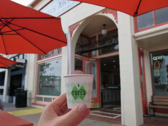 Nice little main street, with cafes, pretty storefronts, park, swinging bridge over a creek with tropical vegetation, and neighborhood with white picket fences and gardens.