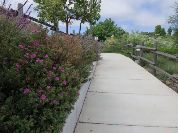 Nice little main street, with cafes, pretty storefronts, park, swinging bridge over a creek with tropical vegetation, and neighborhood with white picket fences and gardens.