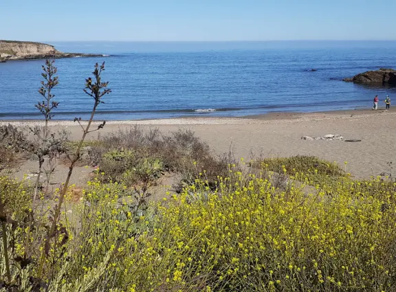 Rugged, beautiful cove with interesting rocks, sea glass, and shells on shore. Rock to climb, and water rushing into cove.