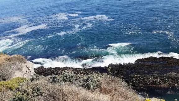 Hard-packed dirt trail with overlooks above glorious coves and rocks. Two miles each way.