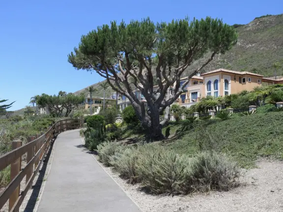 Stunning 0.4 mile paved path on cliffs above the sea, across from mansions.